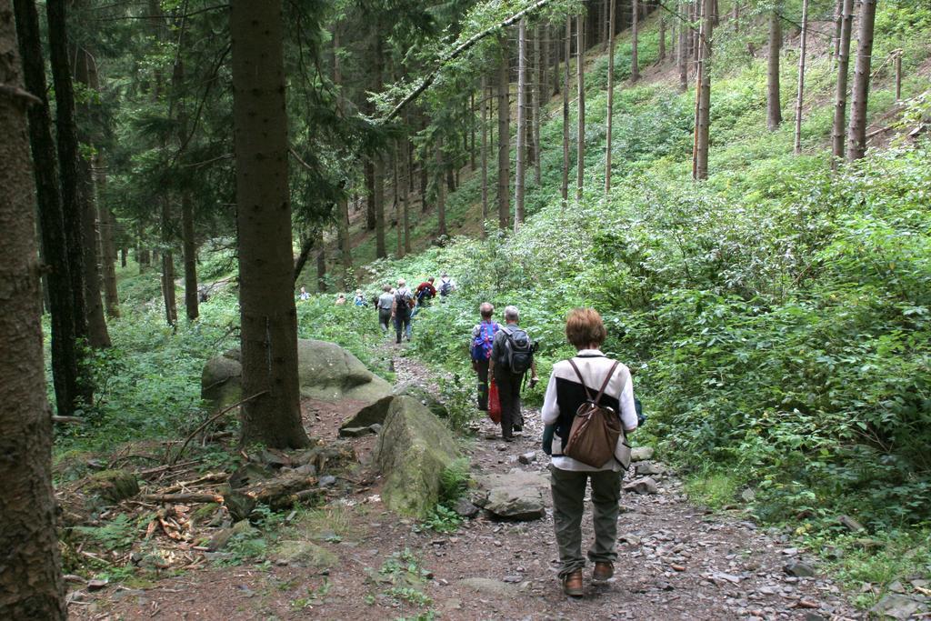 Fewo Amsbergstrasse Bad Harzburg Pokoj fotografie